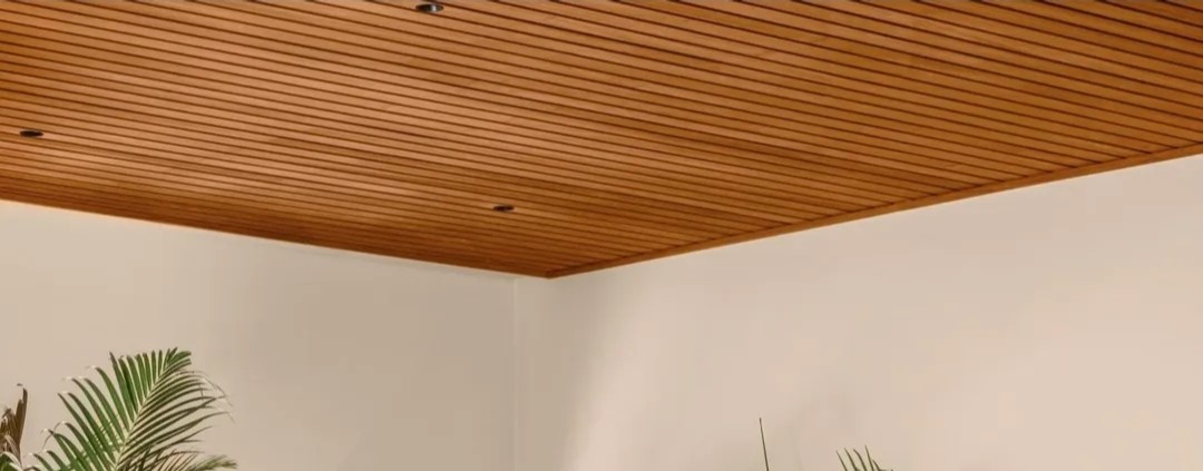 Thermo Ayous facade cladding