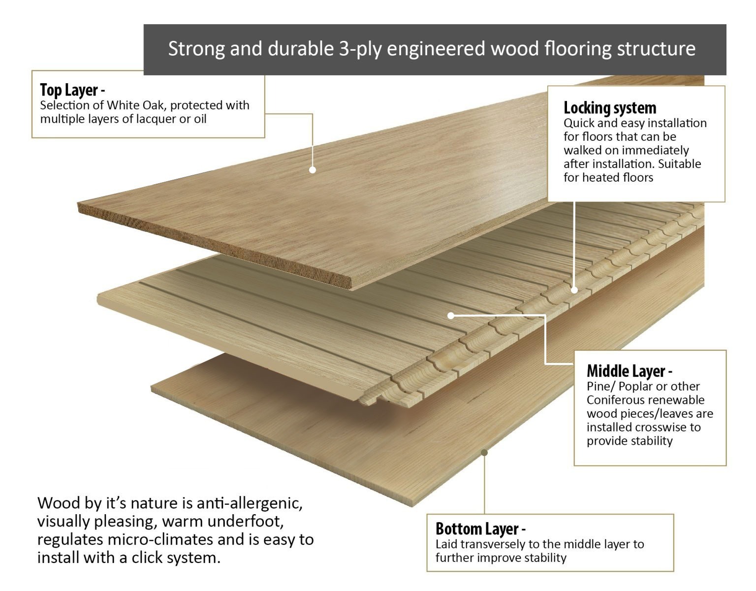 Engineered Hardwood Flooring by Elegance Living
